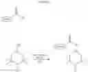 Fig. 04 - Cellulose materials with novel properties