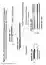Fig. 17 - RNA INTERFERENCE MEDIATED INHIBITION OF HUMAN IMMUNODEFICIENCY VIRUS (HIV) GENE EXPRESSION USING SHORT INTERFERING NUCLEIC ACID (siNA)