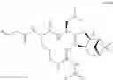 Fig. 201 - Proteasome inhibitors and methods of using the same