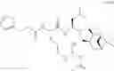 Fig. 255 - Proteasome inhibitors and methods of using the same