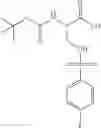 Fig. 656 - Proteasome inhibitors and methods of using the same