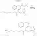 Fig. 49 - Process for preparing 5,7 diaminopyrazolo [1,5-A] pyrimidine compounds