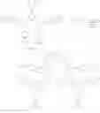 Fig. 60 - METAL COMPLEX HAVING AROMATIC RING LIGAND CONTAINING NITROGEN ATOM