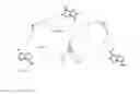 Fig. 02 - Method for producing multicyclical ring systems carrying amino groups