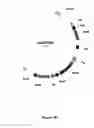 Fig. 09 - Synthesis of long-chain polyunsaturated fatty acids by recombinant cells