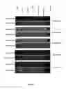 Fig. 11 - Synthesis of long-chain polyunsaturated fatty acids by recombinant cells