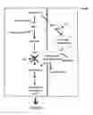 Fig. 15 - Compositions and methods for 3-hydroxypropionate bio-production from biomass