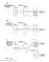 Fig. 18 - Compositions and methods for 3-hydroxypropionate bio-production from biomass
