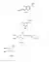 Fig. 03 - Microwave induced single step green synthesis of some novel 2-aryl aldehydes and their analogues