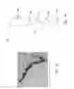 Fig. 05 - Production of ethylene with nanowire catalysts