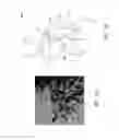 Fig. 06 - Production of ethylene with nanowire catalysts