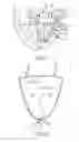 Fig. 12 - Apparatus and methods for supporting cardiac ischemic tissue