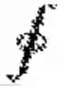 Fig. 02 - Method and apparatus for aligning antennas of low-powered intra- and extra-oral electronic wireless devices