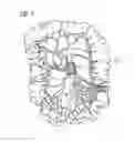 Fig. 05 - METHOD FOR CONTRAST AGENT-FREE MAGNETIC RESONANCE COLONOGRAPHY