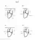 Fig. 08 - ULTRASONIC IMAGING DEVICE