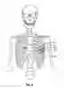 Fig. 09 - Thoracic access port
