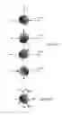 Fig. 10 - System and method of detecting sleep disorders