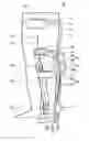 Fig. 01 - Rotation restricting device, robot joint and walking assistance device