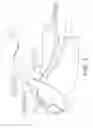 Fig. 04 - Shoulder stabilizing orthotic
