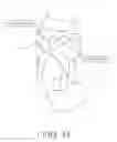 Fig. 18 - Shoulder stabilizing orthotic