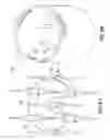 Fig. 50 - Circuitous band needle changing apparatus
