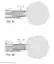 Fig. 05 - Apparatus and Method for Capsule Formation in Tissue