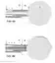Fig. 07 - Apparatus and Method for Capsule Formation in Tissue