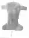 Fig. 01 - REUSABLE DIAPER