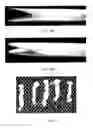Fig. 06 - Method and apparatus for tissue grafting