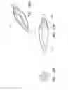 Fig. 32 - THROMBUS MANAGEMENT SYSTEM