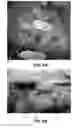 Fig. 07 - DEVICES AND METHODS FOR TREATING GASTROINTESTINAL AND METABOLIC DISORDERS