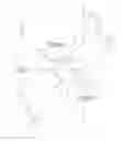 Fig. 20 - Revisable anterior cervical plating system
