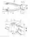 Fig. 08 - Safety control system for implantable neural stimulator