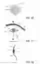 Fig. 08 - System and method for delivering electromagnetic radiation to the eyeball of a subject