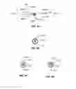 Fig. 08 - Transcoronary sinus pacing system, LV summit pacing, early mitral closure pacing, and methods therefor