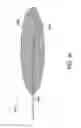 Fig. 47 - STENT GRAFT FENESTRATION