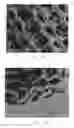 Fig. 20 - SILICONE IMPLANT WITH IMPRINTED TEXTURE