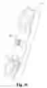 Fig. 25 - Interbody spinal implants with extravertebral support plates