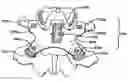 Fig. 01 - Facet arthroplasty devices and methods