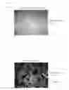 Fig. 09 - Method for manufacturing three-dimensional shaped object and three-dimensional shaped object obtained by the same