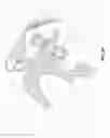 Fig. 06 - Pistol-grip for intuitive control of a robotic or virtual hand
