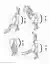 Fig. 10 - Pistol-grip for intuitive control of a robotic or virtual hand