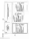 Fig. 37 - Information processing apparatus and computer readable medium