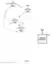 Fig. 06 - SYSTEMS AND METHODS FOR PROVIDING SPOOF DETECTION