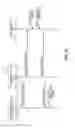 Fig. 30 - AUTOMATED SOCIAL ROUTING