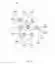 Fig. 05 - Dynamically adjusting simulation fidelity in a self-optimized simulation of a complex system