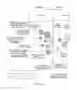 Fig. 06 - CUSTOMIZABLE POPULATION SEGMENT ASSEMBLY