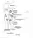 Fig. 07 - CUSTOMIZABLE POPULATION SEGMENT ASSEMBLY