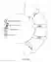 Fig. 08 - CUSTOMIZABLE POPULATION SEGMENT ASSEMBLY