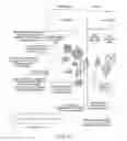 Fig. 06 - PRIORITIZING POPULATION SEGMENT ASSIGNMENTS TO OPTIMIZE CAMPAIGN GOALS